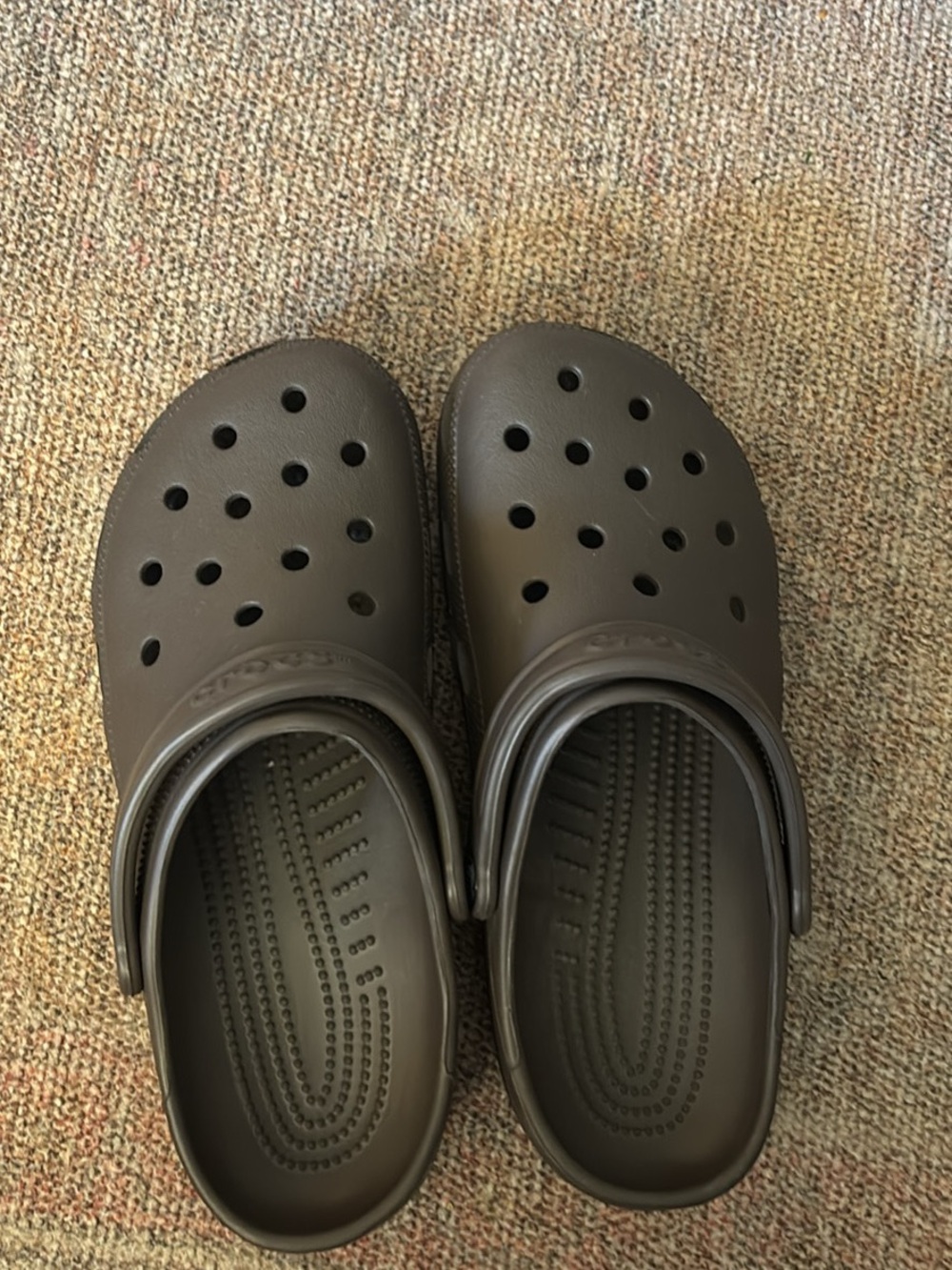 CROCS Men's Classic Clog in Brown